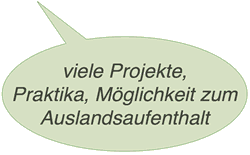 viele Projekte, Praktika